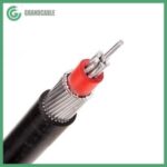Import 0.6/1kV Aluminum LV Concentric Service Cable with Netural Screen from chinese wholesale supplier and manufacturer