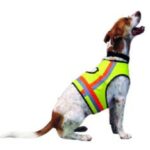 Import 010013 from chinese wholesale supplier and manufacturer