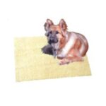 Import 015002 from chinese wholesale supplier and manufacturer