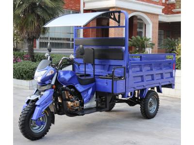 Import 1.5Ton heavy loader gasoline cargo tricycle from chinese wholesale supplier and manufacturer