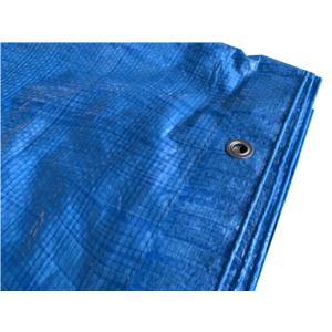 Import #1000 BLUE SHEET from chinese wholesale supplier and manufacturer