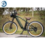 Import 1000W 48V 21Ah Bench E-Bike Fat Tire Mountain Battery Bike For Adults from chinese wholesale supplier and manufacturer
