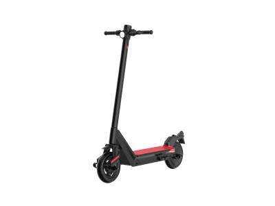 Import 10inch sharing use scooter 103P from chinese wholesale supplier and manufacturer