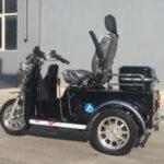Import 110CC Handicapped tricycle rear with small cargo box from chinese wholesale supplier and manufacturer