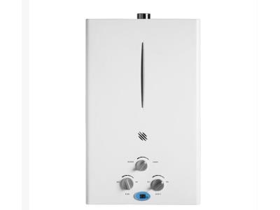 Import 13L force exhuast domestic household gas water heater from chinese wholesale supplier and manufacturer