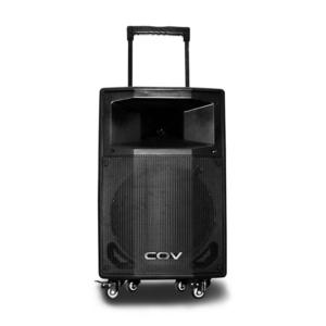 Import 15 inch plastic trolley speaker with microphone from chinese wholesale supplier and manufacturer