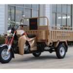 Import 150CC Gasoline Cargo Tricycle with EEC from chinese wholesale supplier and manufacturer