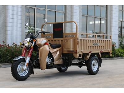 Import 150CC Gasoline Cargo Tricycle with EEC from chinese wholesale supplier and manufacturer
