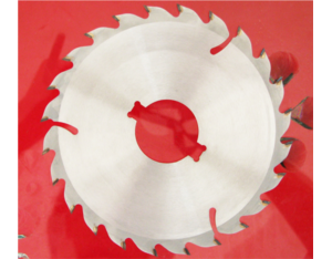 Import 160X24TX40（MULTIP SAW BLADE） from chinese wholesale supplier and manufacturer