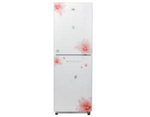Import 180CP2-B Refrigerator from chinese wholesale supplier and manufacturer
