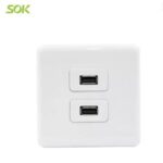 Import 2 Gang USB Outlets from chinese wholesale supplier and manufacturer