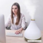 Import 2 in 1 Air humidifier and Aroma Humidifier CF-2507L from chinese wholesale supplier and manufacturer