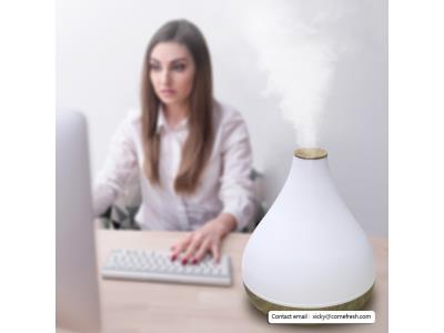 Import 2 in 1 Air humidifier and Aroma Humidifier CF-2507L from chinese wholesale supplier and manufacturer