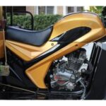 Import 200cc Gasoline Cargo Tricycle for 2TON Loader from chinese wholesale supplier and manufacturer