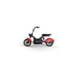Import 2020 Best Sale Extended Range Fat Tire Adult Electric Motorcycle with USB from chinese wholesale supplier and manufacturer