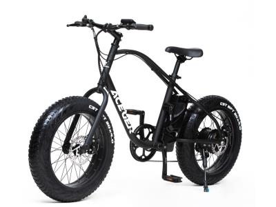 Import 20″ cool man fat tire electric bike from chinese wholesale supplier and manufacturer