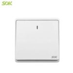 Import 20A 250V Double Pole Switch with Neon – 1 Gang White from chinese wholesale supplier and manufacturer