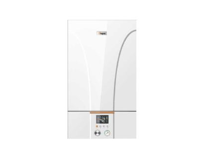 Import 20KW China Manufacturer Wall Hung Gas Boiler from chinese wholesale supplier and manufacturer