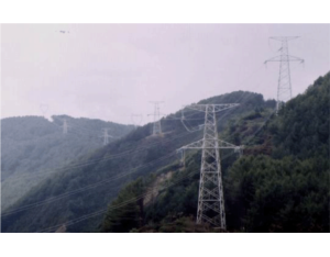 Import 220kV transmission line from chinese wholesale supplier and manufacturer