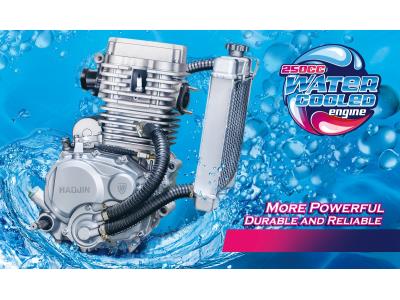 Import 250CC water cooled engine from chinese wholesale supplier and manufacturer