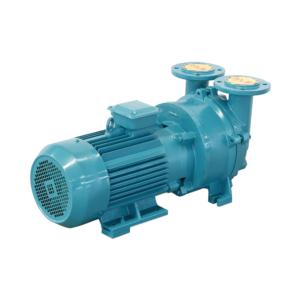 Import 2BE water ring vacuum pump from chinese wholesale supplier and manufacturer