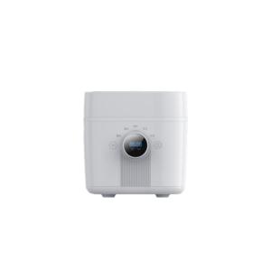 Import 2L RICE COOKER from chinese wholesale supplier and manufacturer