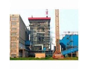 Import 2×24MW Coal Fired Power Plant from chinese wholesale supplier and manufacturer