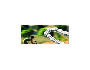 Import 30 Speed, F101/2″×11/128″ Narrow pin from chinese wholesale supplier and manufacturer