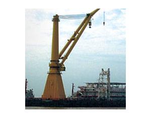 Import 300 Men Work Ship from chinese wholesale supplier and manufacturer