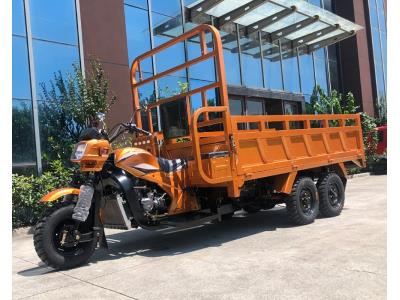 Import 300CC Water cooled gasoline cargo tricycle with double rear axle from chinese wholesale supplier and manufacturer