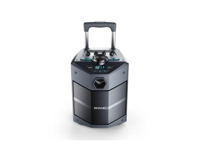 Import 30W Trolley Portable Outdoor Bluetooth Speakers Audio Player Karaoke Speaker from chinese wholesale supplier and manufacturer