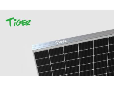 Import 355-375W P-Type 60 Half Cell Module Tiger LM 60HC from chinese wholesale supplier and manufacturer