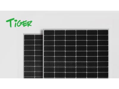 Import 435-455W P-Type 72 Half Cell Bifacial Module With Dual Glass Tiger LM 72HC-BDVP from chinese wholesale supplier and manufacturer
