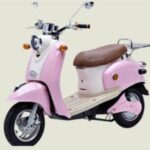 Import 45 km E-Scooter- Dragonfly Silicon from chinese wholesale supplier and manufacturer