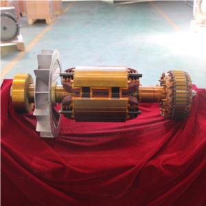 Import 48KW ROTOR from chinese wholesale supplier and manufacturer