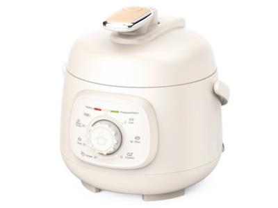 Import 50C Electric Pressure Cooker(1.6L) from chinese wholesale supplier and manufacturer