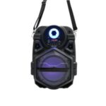 Import 6.5inch portable DJ bt speaker from chinese wholesale supplier and manufacturer