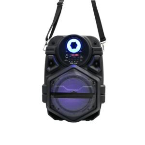 Import 6.5inch portable DJ bt speaker from chinese wholesale supplier and manufacturer