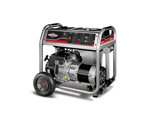 Import 6000 Watt Portable Generator from chinese wholesale supplier and manufacturer