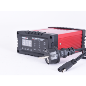 Import 6V / 12V 2/8/16A High frequency Double voltage battery charger from chinese wholesale supplier and manufacturer