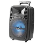 Import 8’’ Portable Bluetooth speaker system:LY-BX0804 from chinese wholesale supplier and manufacturer