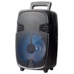 Import 8’’ Portable Bluetooth speaker system:LY-BX0811 from chinese wholesale supplier and manufacturer