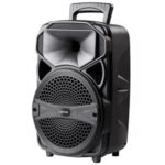 Import 8” Portable Bluetooth speaker system: LY-BX0802 from chinese wholesale supplier and manufacturer