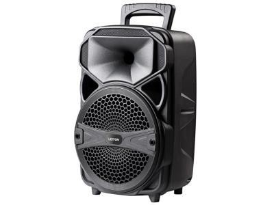 Import 8” Portable Bluetooth speaker system: LY-BX0802 from chinese wholesale supplier and manufacturer