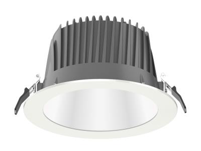 Import 8inch Premium Downlight Lumen able 3000/4000/5000 from chinese wholesale supplier and manufacturer