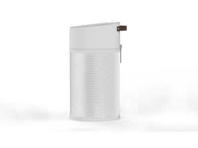 Import 9920 Household True HEPA Air Purifier from chinese wholesale supplier and manufacturer