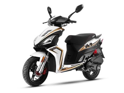Import A9 -Zhongneng Znen sporty scooter from chinese wholesale supplier and manufacturer