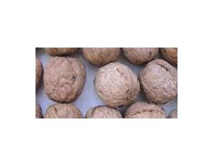 Import Abrasive & Grinding from chinese wholesale supplier and manufacturer