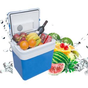 Import AC DC 24L Mini Fridge Hot and Cold both function from chinese wholesale supplier and manufacturer