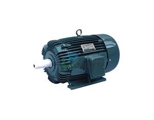 Import AEEF-1 from chinese wholesale supplier and manufacturer